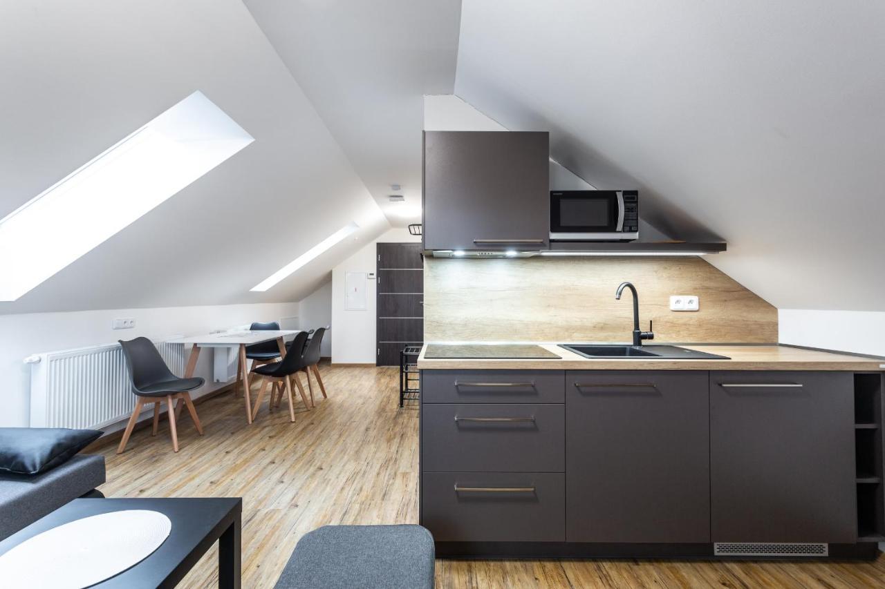 Plessberg Apartments Plesivec Abertamy Exterior foto